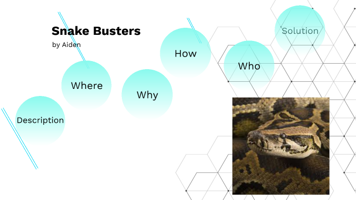 Snake Busters by Aiden Robinson-Vincent