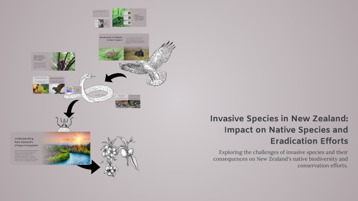 Invasive Species in New Zealand: Impact on Native Species and ...