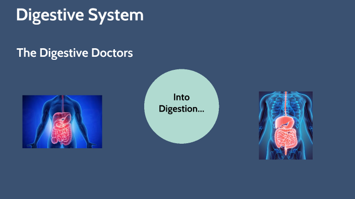 Digestive System by Grace Akindayo on Prezi