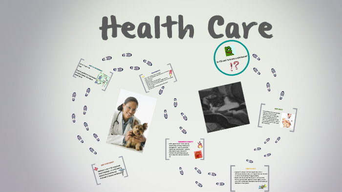 Health Care by Hadia Ali on Prezi