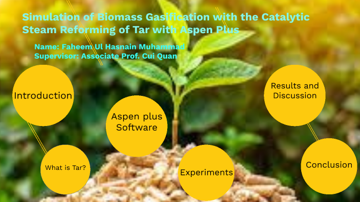 Simulation of Biomass Gasification with the Catalytic Steam reforming ...