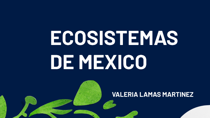 ECOSISTEMAS by VALERIA LAMAS MARTINEZ on Prezi