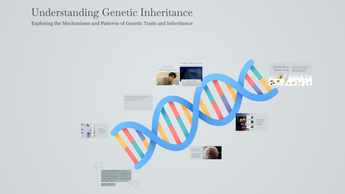 Understanding Genetic Inheritance by maryam hotak on Prezi