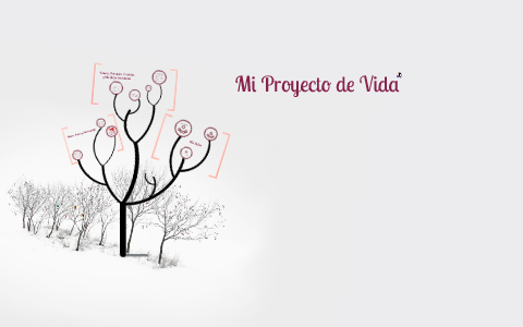 Mi Proyecto de Vida by Naidelyn Castillo on Prezi
