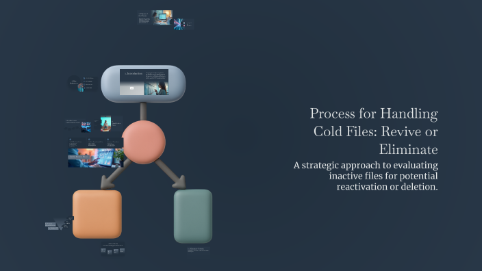 Process for Handling Cold Files: Revive or Eliminate by Anthony ...