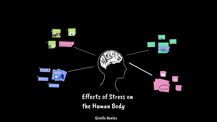 Effects of Stress on the Human Body by Giselle Avalos on Prezi