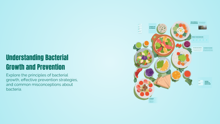 Understanding Bacterial Growth and Prevention by Renata Hernandez ...