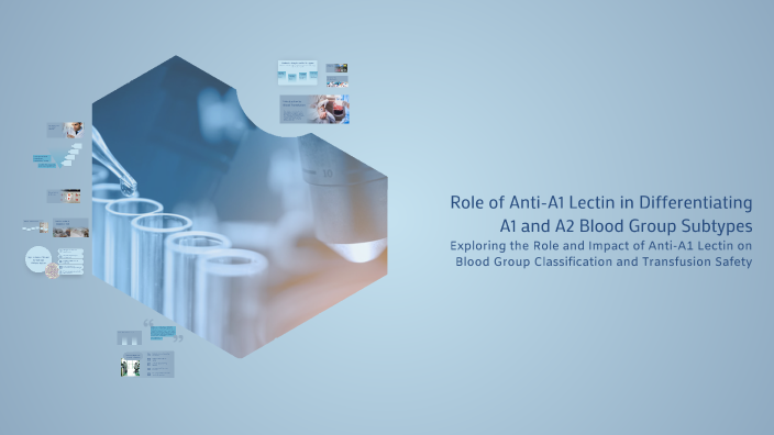 Role of Anti-A1 Lectin in Differentiating A1 and A2 Blood Group ...