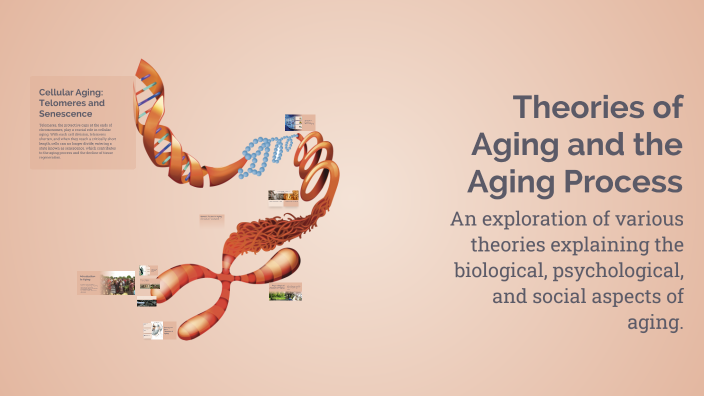 Theories of Aging and the Aging Process by NDINTUME MESHACK on Prezi