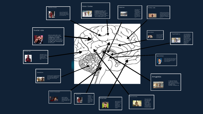 Ryan Reynolds - Celebrity Brain Slides by Jackson Kelly on Prezi