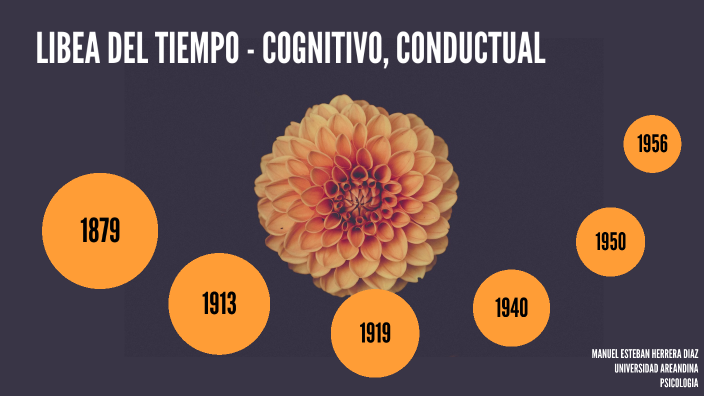 Areandina Linea Del Tiempo Cognitivo Conductual By Manuel Esteban Herrera Diaz On Prezi 6756