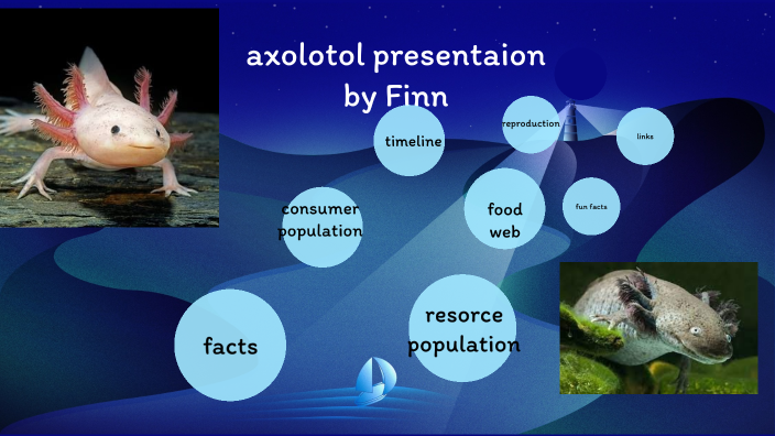 prezi science presentations