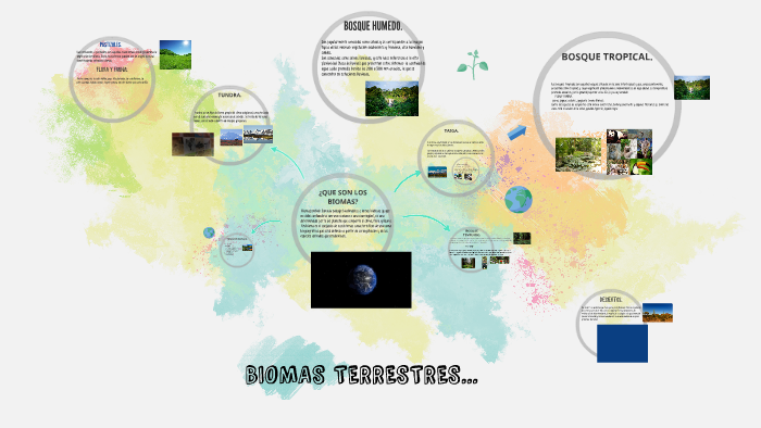 BIOMAS TERRESTRES... by paola torres on Prezi