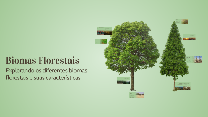 Biomas Florestais by Luyza Silva on Prezi
