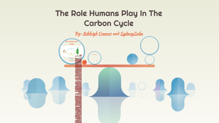 The Role Humans Play In The Carbon Cycle by Ashleigh Co on Prezi