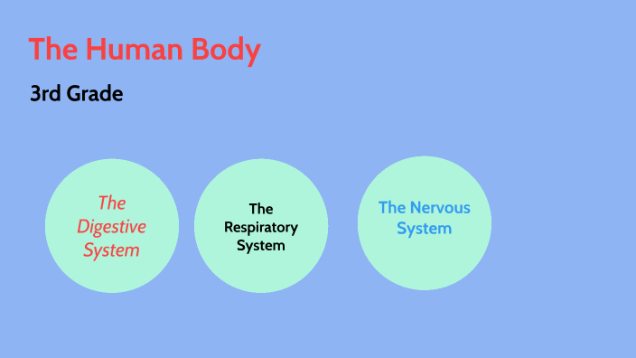 The Human Body by Elena Gomez on Prezi