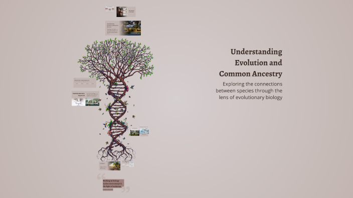Understanding Evolution and Common Ancestry by Joey Lopez on Prezi