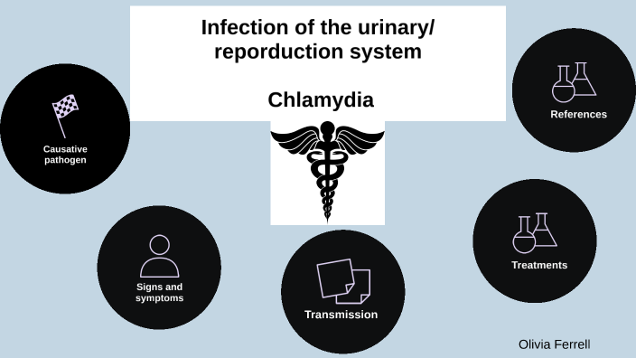 Chlamydia bacterial infection by Olivia Ferrell on Prezi