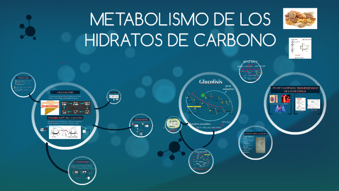Metabolismo De Los Hidratos De Carbono By Karen Hutter On Prezi 9160