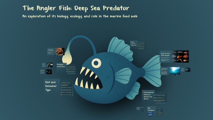 The Angler Fish: Deep Sea Predator by Christopher Rosas on Prezi