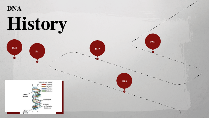 DNA timeline by AARNAV NAIR on Prezi