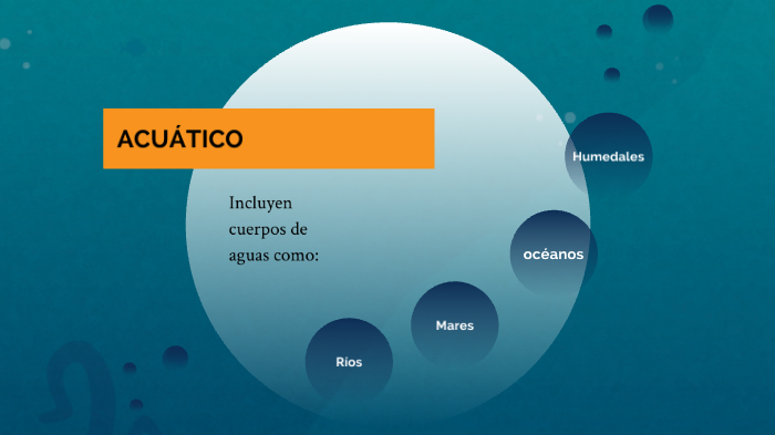 ECOSISTEMAS by angie torres on Prezi
