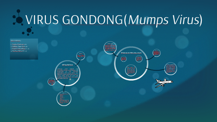 Mumps virus