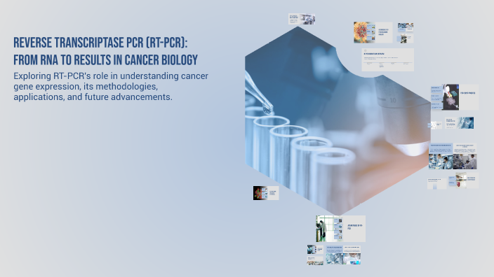 Reverse Transcriptase PCR (RT-PCR): From RNA to Results in Cancer ...