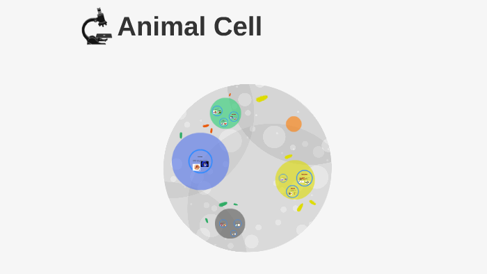 Animal Cell by Michael Nevins on Prezi