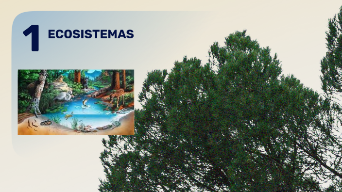 ECOSISTEMAS by ERICK MANUEL CHAVES LEON on Prezi