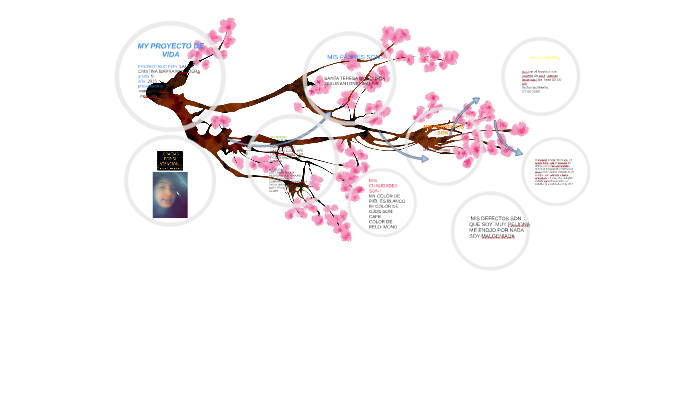 proyecto de vida by laura ibarra on Prezi