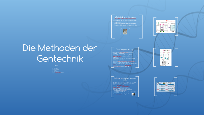 Die Methoden Der Gentechnik By Leonie B On Prezi