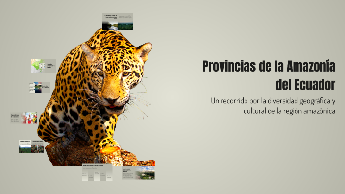 Provincias de la Amazonía del Ecuador by Holguin Delgado Anabelly ...