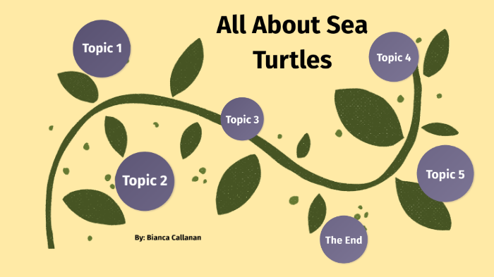 All About Sea Turtles by Bianca Callanan on Prezi