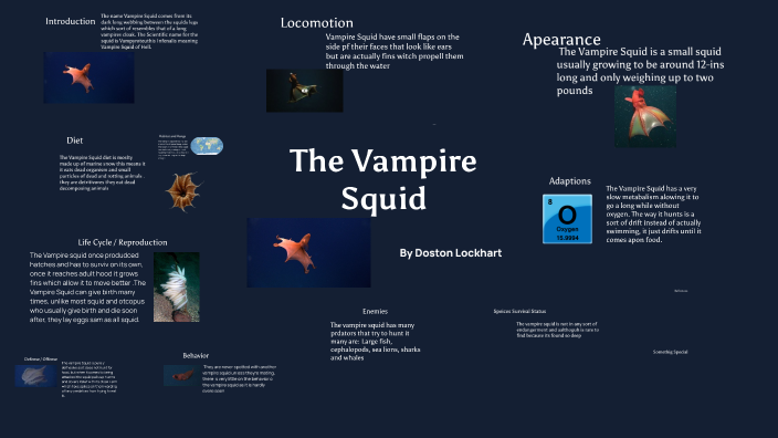 The Vampire squid by doston lockhart on Prezi