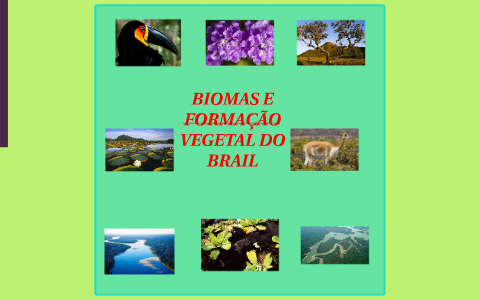 BIOMAS E FORMAÇÕES VEGETAIS DO BRASIL by elizangela silva on Prezi