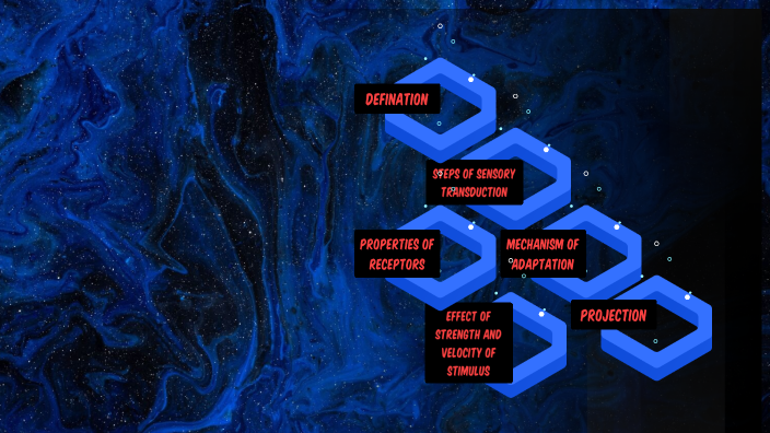 Understanding Human Behaviour by Khushi Yadav on Prezi