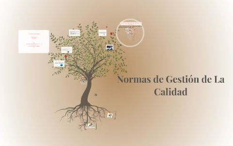 Normas de Gestión de La Calidad by Mariana Martinez on Prezi