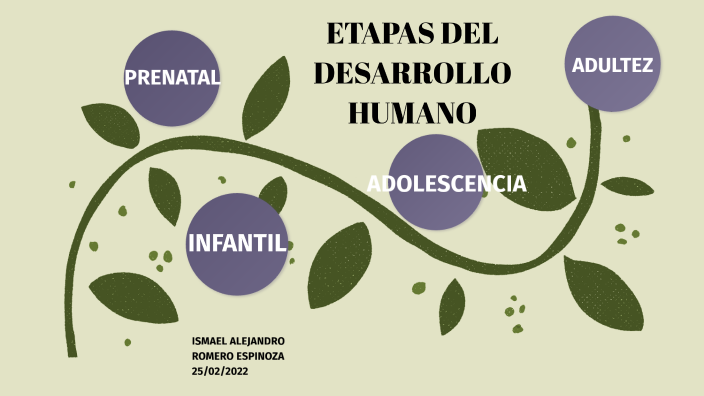 ETAPAS DEL DESARROLLO HUMANO by Ismael Romero Espinoza on Prezi