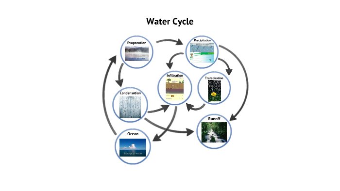 Water Cycle by Emily Paris on Prezi