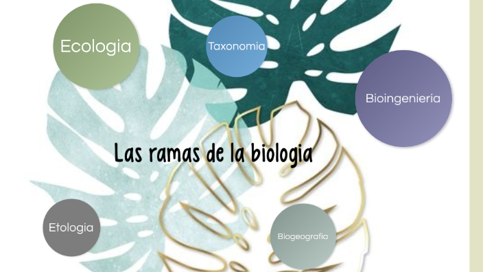 ramas de la biologia by Camila Yamileth