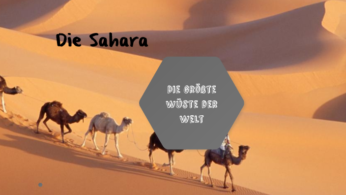 Tiere der Sahara by Amelie Schantl on Prezi