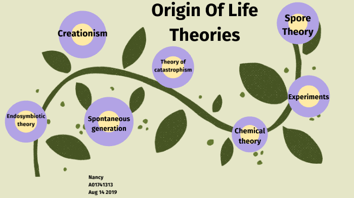theories on the origin of life essay 300 words