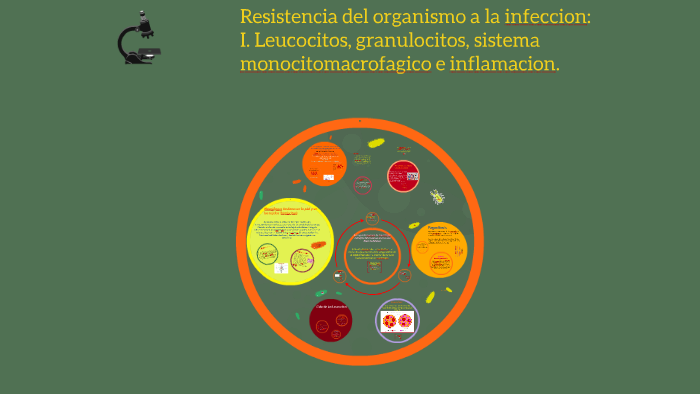 Resistencia del organismo a la infeccion: I. Leucocitos, gra by Maria