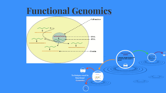 functional genomics by