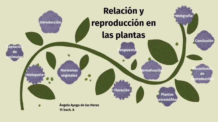 Relación y reproducción en las plantas by Ángela Ayuga