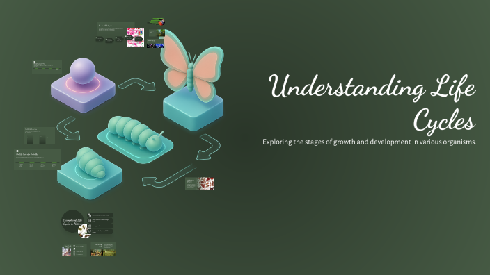 Understanding Life Cycles by Jenny Brewer on Prezi