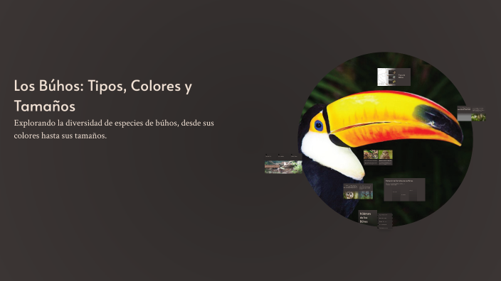 Los Búhos: Tipos, Colores y Tamaños by Joselyn Obando Sanchez on Prezi