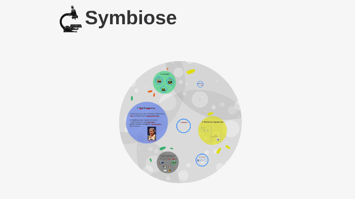 Symbiose By Sandra S On Prezi