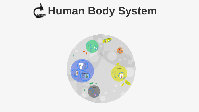 Human Body System by on Prezi